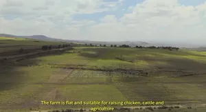130 Acres for Sale at Kilimanjaro