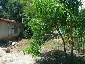 House Plots for Sale at Kinondon Morocco