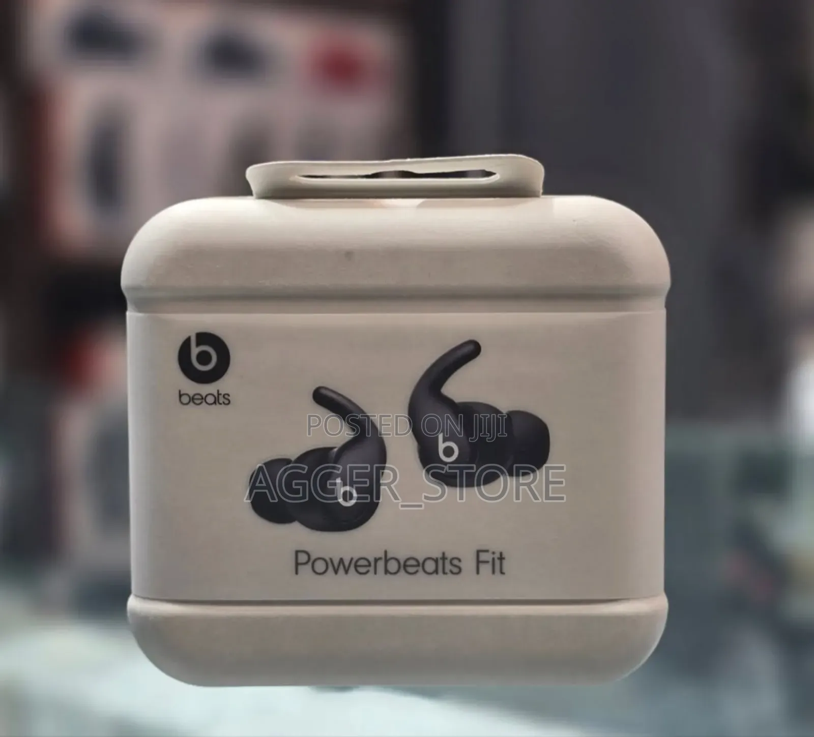 Powerbeat Fit Earbuds
