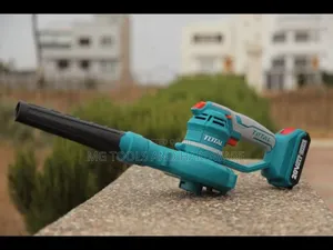 Cordless Blower Lithium Ion