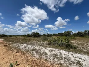 50acres Industrial Corner Plot Inauzwa Kisarawe 2