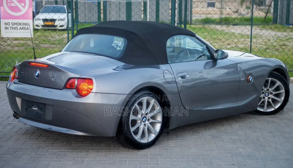 BMW Z4 2.0i Exclusive Roadster 2007 Gray