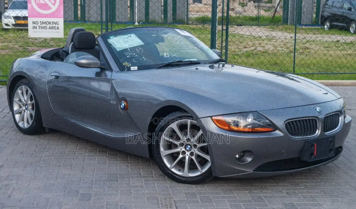 BMW Z4 2.0i Exclusive Roadster 2007 Gray