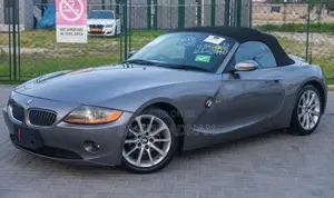 BMW Z4 2.0i Exclusive Roadster 2007 Gray