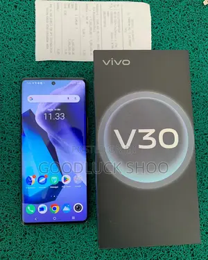 New Vivo V30 5G 256 GB