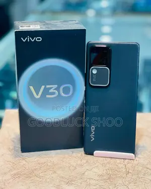 New Vivo V30 5G 256 GB