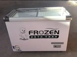 Aocon Display Freezer L300