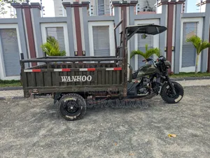 Bajaj 2025 Green
