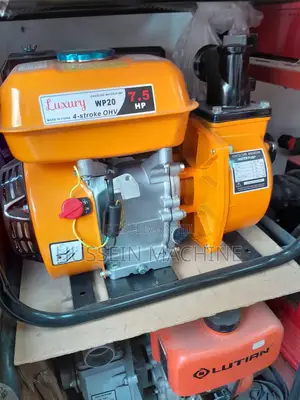 Water Pump Luxury 2''
