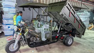 New Tricycle 2025 Green