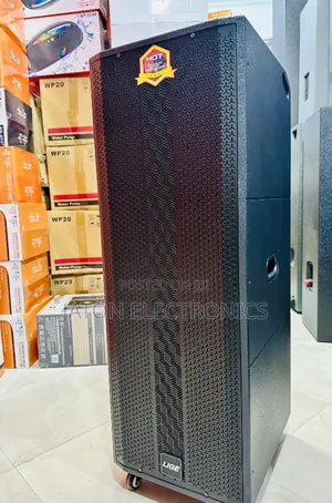 Lige-220 Big Power Rechargeable Speaker 2mic 15inches