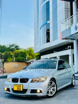 BMW 3 Series 2010 Silver