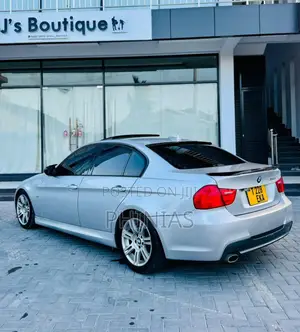 BMW 3 Series 2010 Silver
