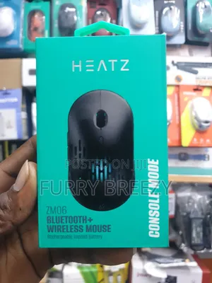 Bluetooth + Wireless Mouse