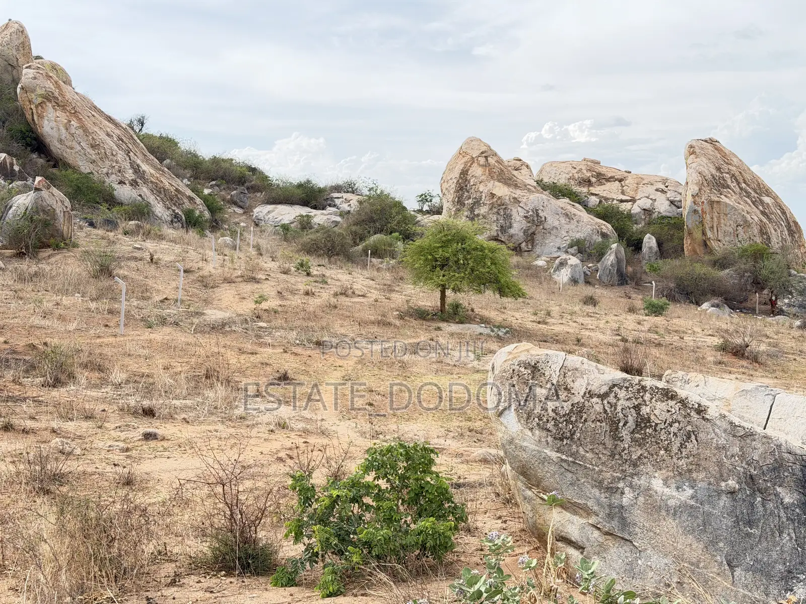 Plot Available for Sale at Itega Low Density Area