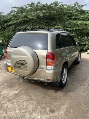 Toyota RAV4 2005 Gold