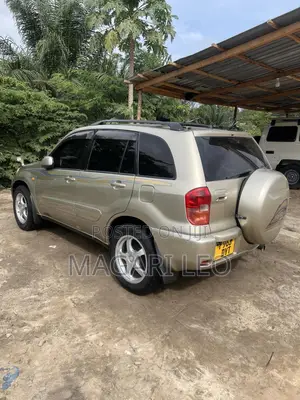 Toyota RAV4 2005 Gold