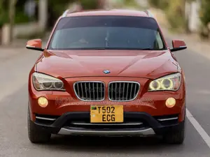 BMW X1 2013 Orange