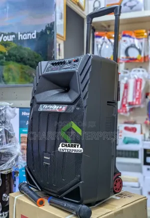 Portable Temeisheng Rechargerable Karaoke Speaker With Mic 15inch
2mic