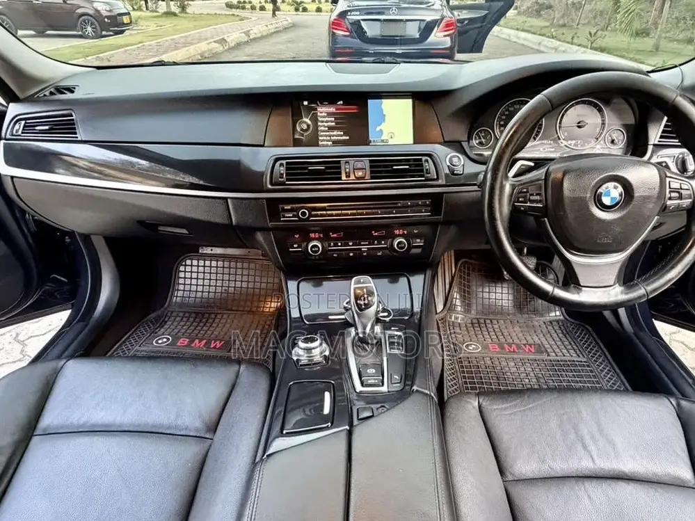 BMW 5 Series 2013 Blue