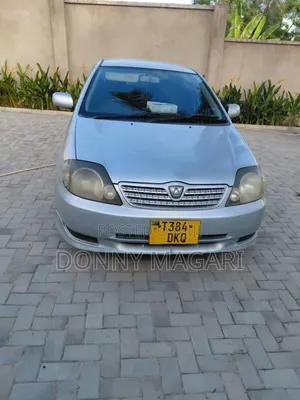 Toyota Allex 2003 Silver