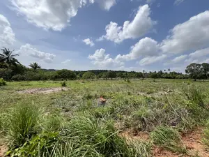 30 Acres Industrial Plot With a Gas Pipeline 4 Sale in Mkuranga