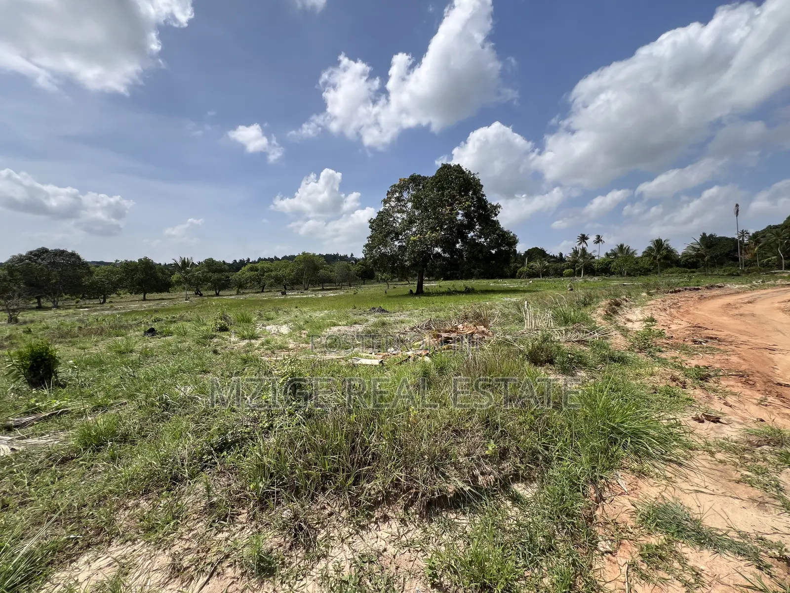 30 Acres Industrial Plot With a Gas Pipeline 4 Sale in Mkuranga
