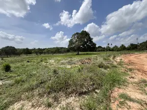 30 Acres Industrial Plot With a Gas Pipeline 4 Sale in Mkuranga