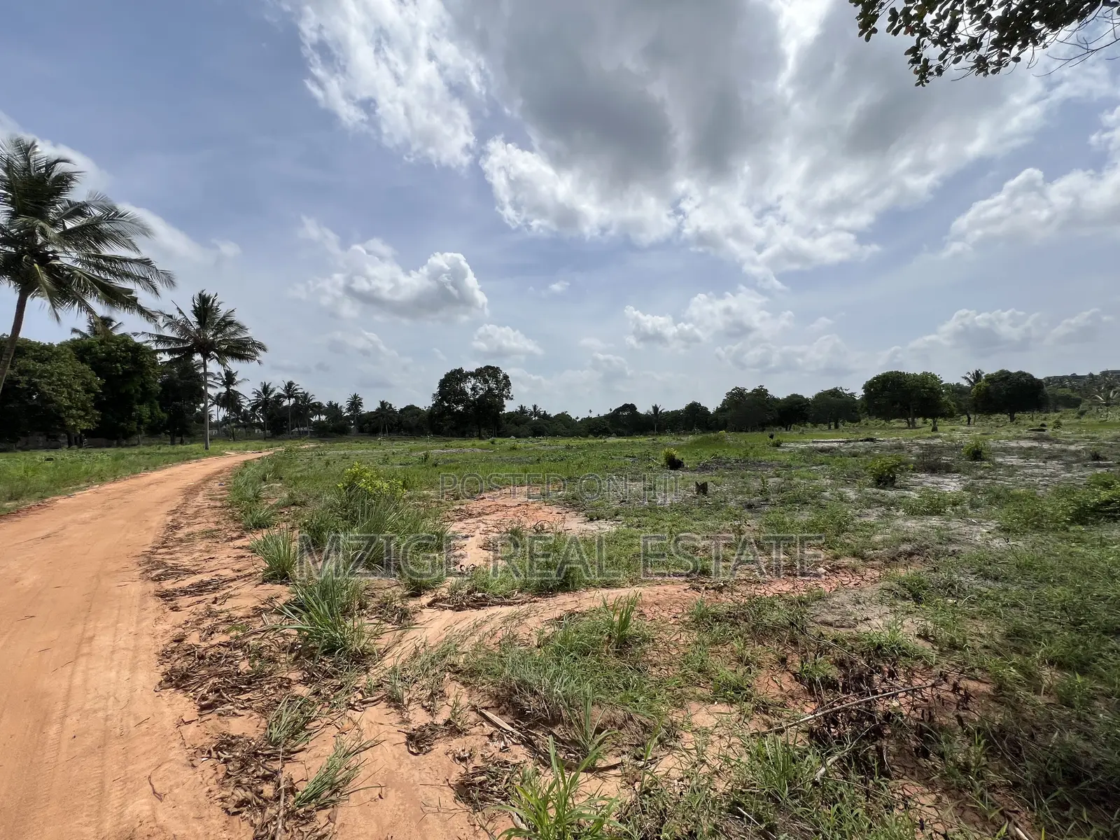 30 Acres Industrial Plot With a Gas Pipeline 4 Sale in Mkuranga