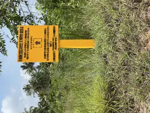 30 Acres Industrial Plot With a Gas Pipeline 4 Sale in Mkuranga