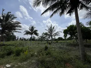 30 Acres Industrial Plot With a Gas Pipeline 4 Sale in Mkuranga