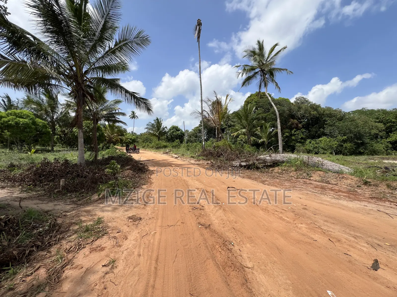 30 Acres Industrial Plot With a Gas Pipeline 4 Sale in Mkuranga