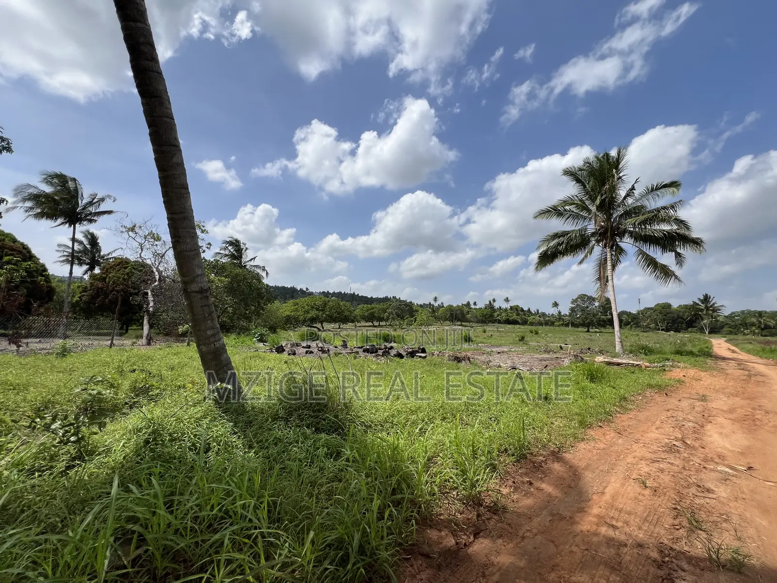 30 Acres Industrial Plot With a Gas Pipeline 4 Sale in Mkuranga