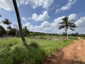 30 Acres Industrial Plot With a Gas Pipeline 4 Sale in Mkuranga