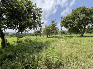 10 Acres Industrial Plot for Sale – Dundani, Mkuranga
