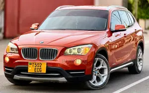 BMW X1 2013 Orange