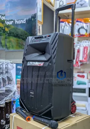 Portable Temeisheng Rechargerable Karaoke Speaker 15" Inch With 2 Mic