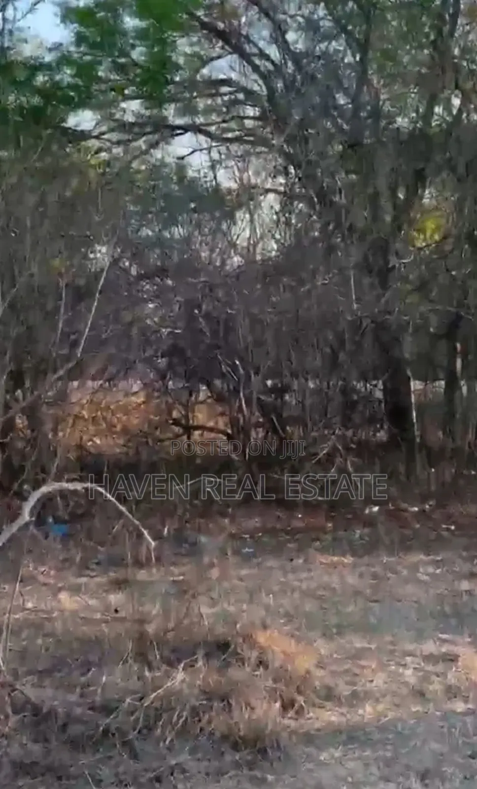 Plot Ya Ekari 10 Inayogusa Lami Inauzwa Mikumi Mjini, Morogoro