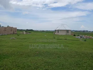 Kiwanja Kisesa