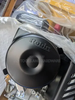 Poker Vibrator Robin