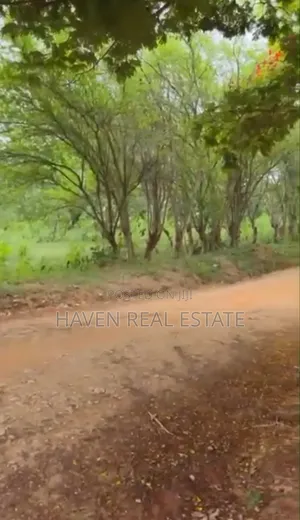 Commercial Plot Inauzwa Tabata