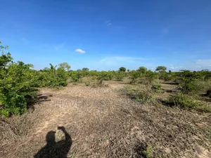 Ekari 7 Zinauzwa Bagamoyo Kidomole