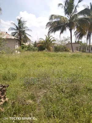Kiwanja Sqmita 1000 Kinauzwa Milioni 25 Gongolamboto Majohe Viwege.