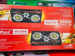 Aygazi 2 Burner Gas Cooker