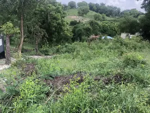 Kiwanja Mil 38