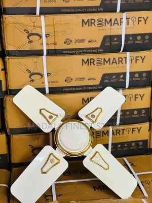 Smartify Fan Size 24"