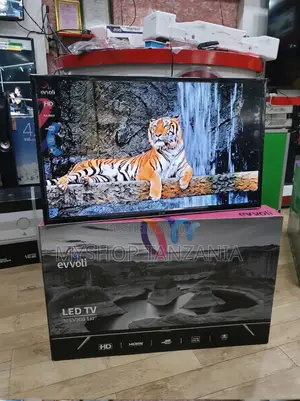 Evvoli Led Tv Inch 32