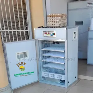 Incubator Mayai 352 Jan 2026
