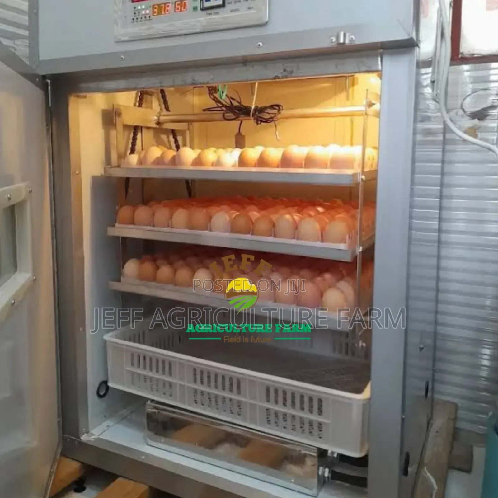 Incubator Mayai 352 Jan 2026