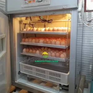 Incubator Mayai 352 Jan 2026
